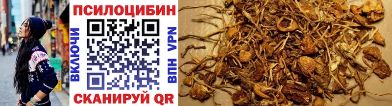 Псилоцибиновые грибы ЛСД  Купить где  Короча 