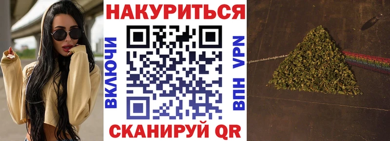 Конопля план  Купить где  Короча 
